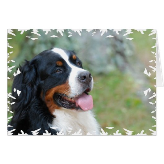 Cute Bernese Cards (Front Horizontal)