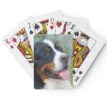 Cute Bernese Deck of Cards