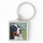 Cute Bernese Keychain