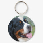 Cute Bernese Keychain