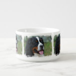 Cute Bernese Mountain Dog Bowl