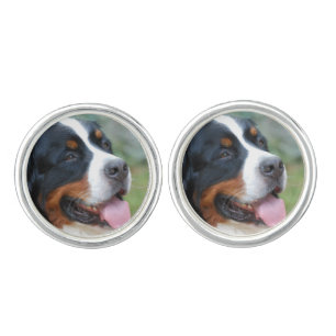 Cute Bernese Mountain Dog Cufflinks