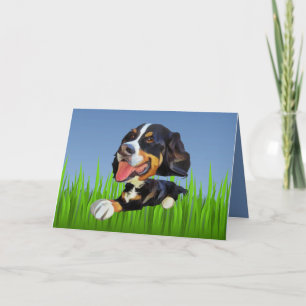 Cute Bernese Mountain Dog Greeting Card