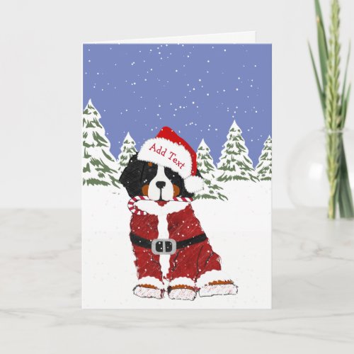 Cute Bernese Mountain Dog Santa Paws Holiday Card