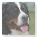 Cute Bernese Mountain Dog Stone Coaster