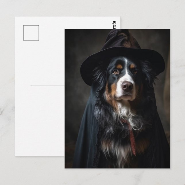 Cute Bernese Mountain Dog Witch Postcard (Front/Back)