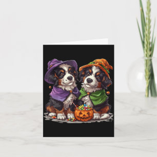 Cute Bernese Mountain Dogs Witch Pumpkin Halloween Card