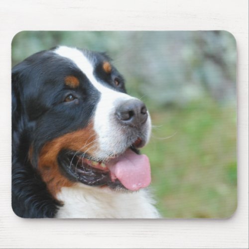 Cute Bernese Mouse Pad