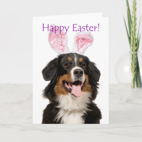 Cute Bernese Mt Dog Easter Card