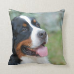 Cute Bernese Pillow