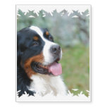 Cute Bernese Temporary Tattoos