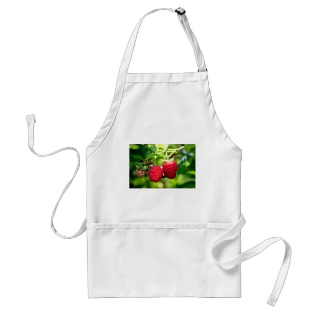 Cute berry photo Raspberries blackberries fruit Adult Apron (Front)