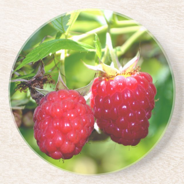 Cute berry photo Raspberries blackberries fruit Drink Coaster (Front)