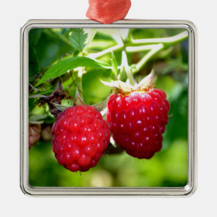 Cute berry photo Raspberries blackberries fruit Metal Ornament