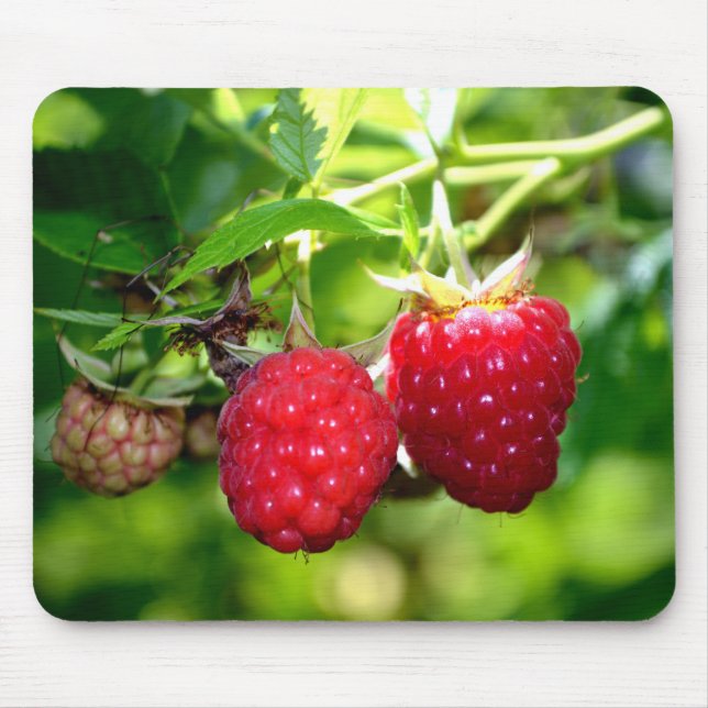 Cute berry photo Raspberries blackberries fruit Mouse Pad (Front)