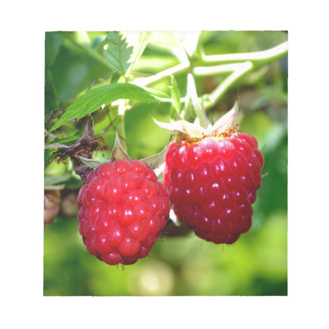 Cute berry photo Raspberries blackberries fruit Notepad (Front)