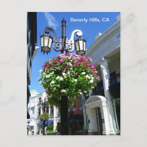 Cute Beverly Hills Postcard Postcard
