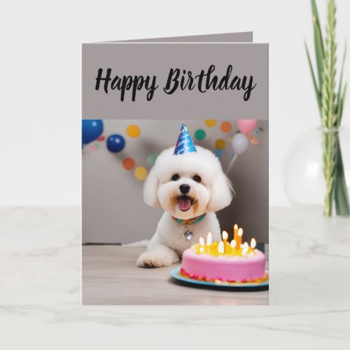 Cute Bichon Fris  Birthday Card