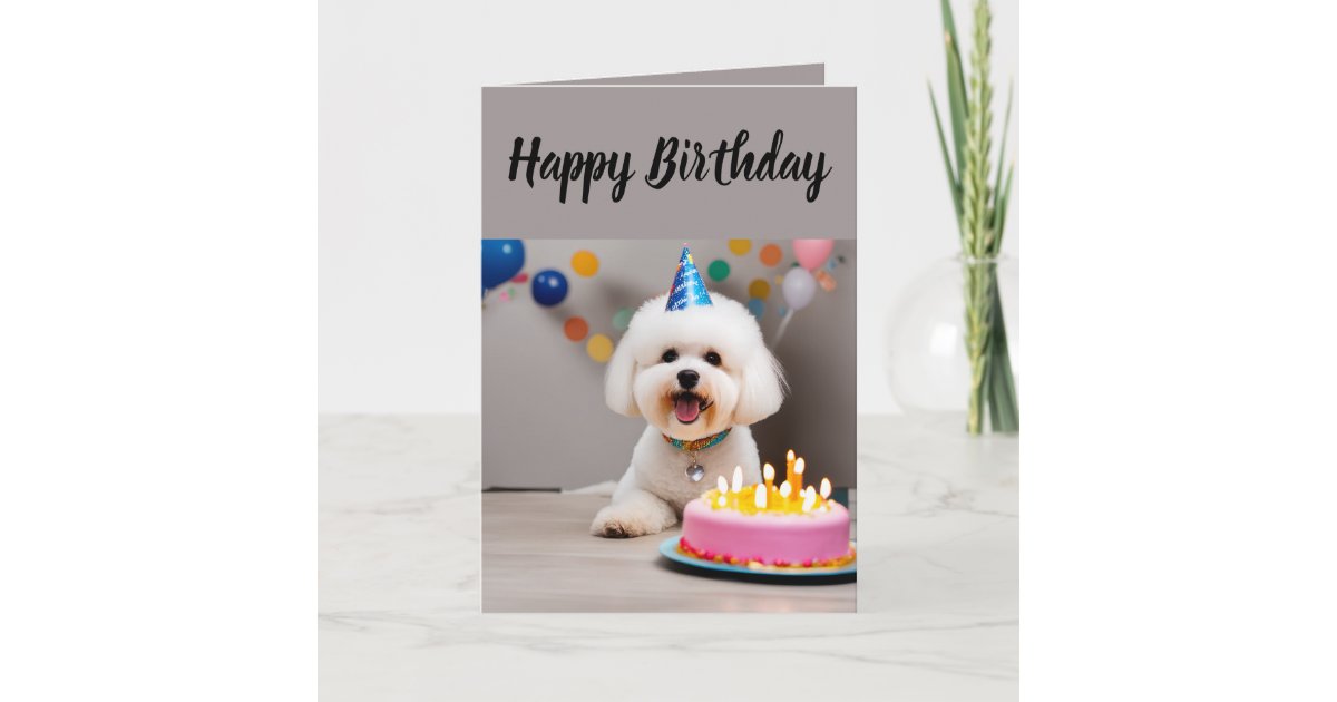 Cute Bichon Frisé Birthday Card | Zazzle