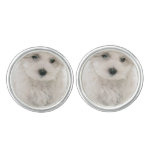 Cute Bichon Frise Cufflinks