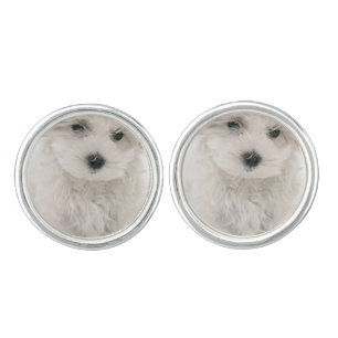 Cute Bichon Frise Cufflinks