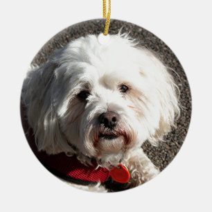 Cute bichon frise dog ceramic ornament