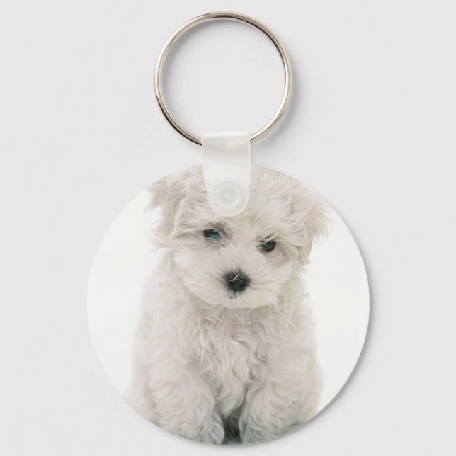 Cute Bichon Frise Keychain (Front)