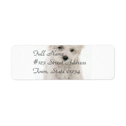 Cute Bichon Frise Mailing Label