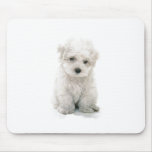 Cute Bichon Frise Mouse Pad