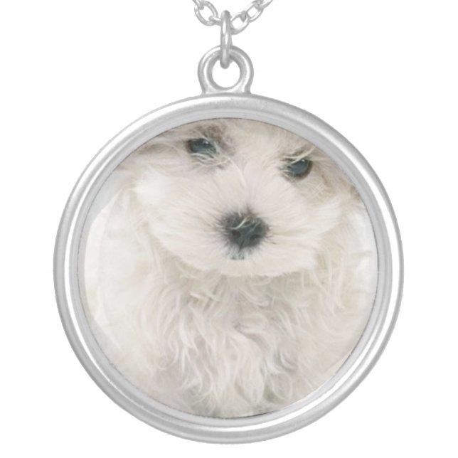 Cute Bichon Frise Necklace (Front)