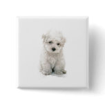 Cute Bichon Frise Square Pin