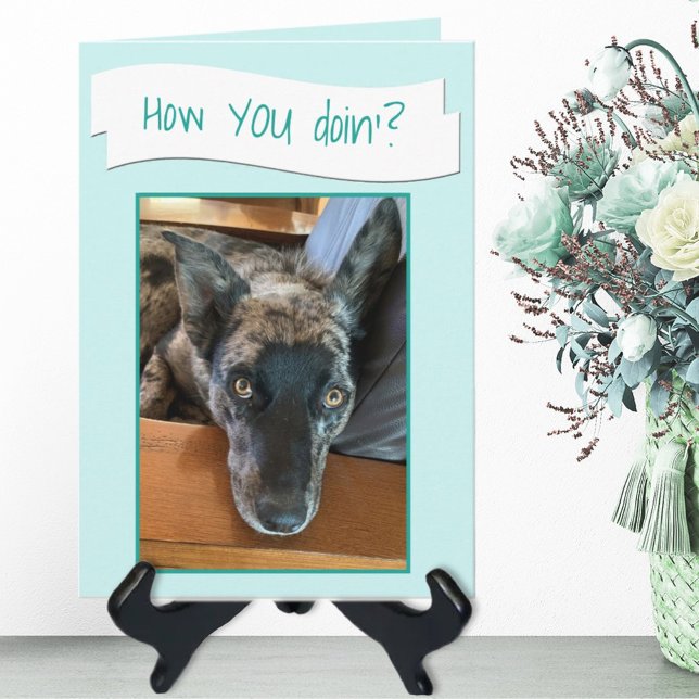 Cute Big Eared Dog Photo Placeholder Card (Creator Uploaded)