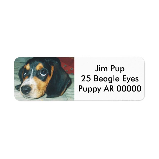Cute Big Eyes Beagle Puppy Label (Front)