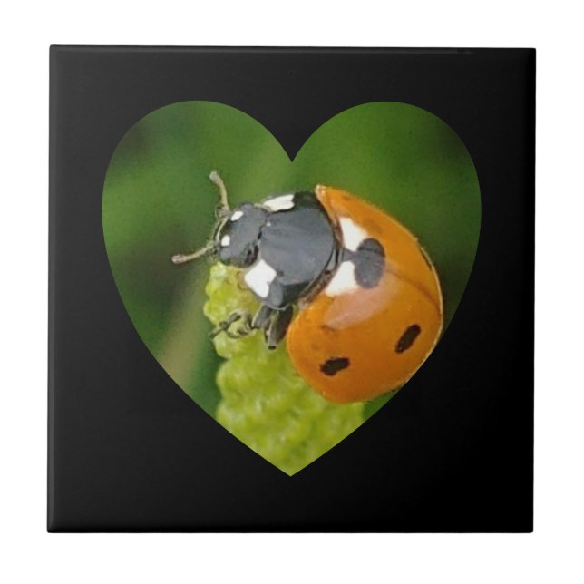 Cute Big Ladybug In A Heart Square Ceramic Tile (Front)