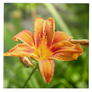 Cute big Lily flower photo Ceramic Tile