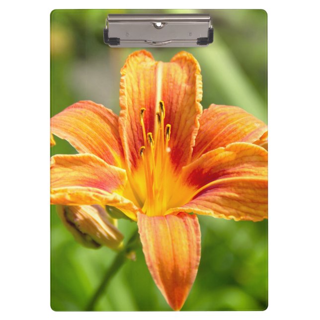 Cute big Lily flower photo Clipboard (Front)