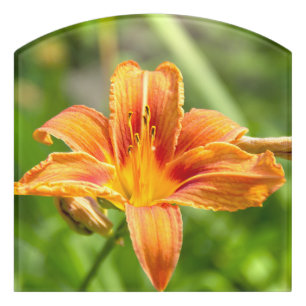 Cute big Lily flower photo Door Sign
