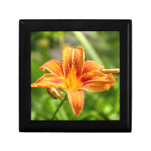 Cute big Lily flower photo Gift Box