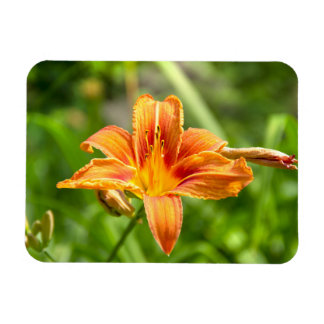 Cute big Lily flower photo Magnet