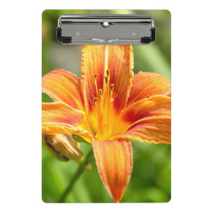 Cute big Lily flower photo Mini Clipboard