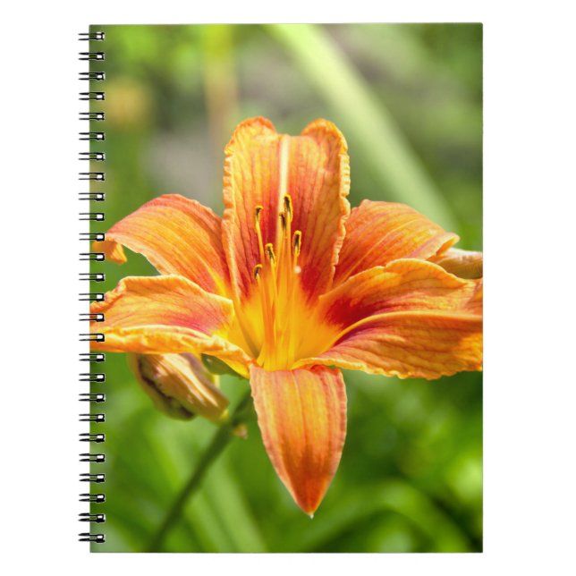 Cute big Lily flower photo Notebook (Front)