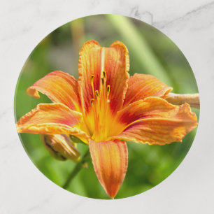 Cute big Lily flower photo Trinket Tray
