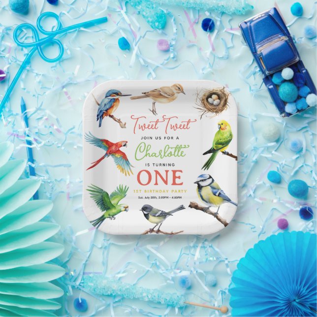 Cute Bird 1st Birthday Party Paper Plates (Party)