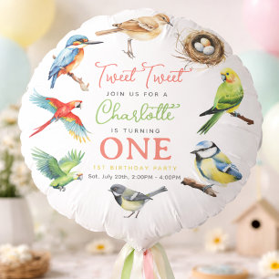 Cute Bird 1st Birthday   Sweet Baby Bird Party  Balloon