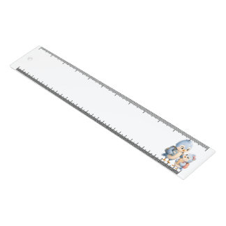 Cute Bird Brother Classroom Ruler