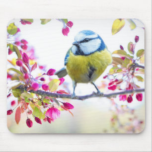 Cute Bird Mouse Pad