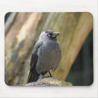 cute bird mouse pad