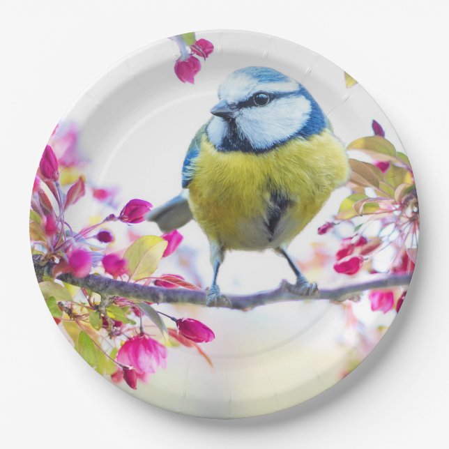 Cute Bird Paper Plates (Front)