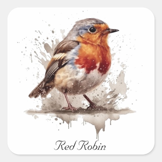 Cute bird red robin customizable square sticker (Front)