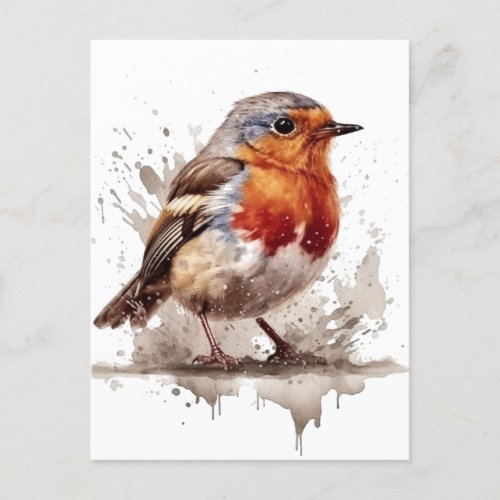 Cute bird red robin in water color postcard